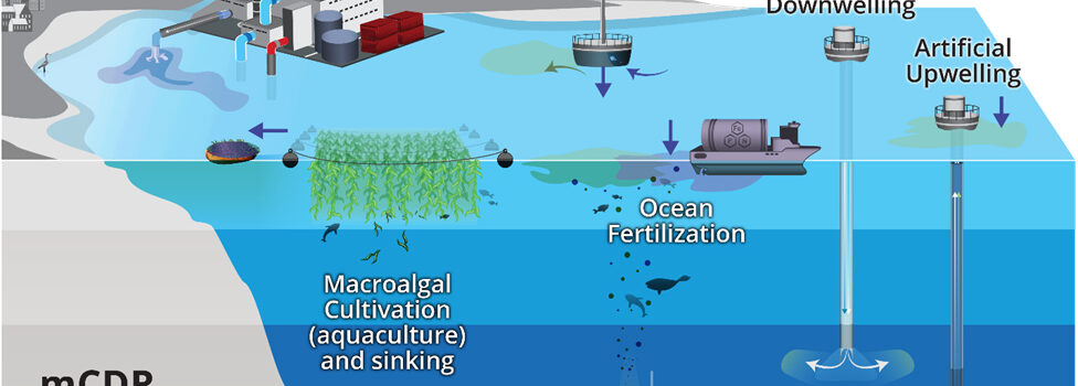 US targets viable climate solutions with launch of strategy for marine CO2 removal research
