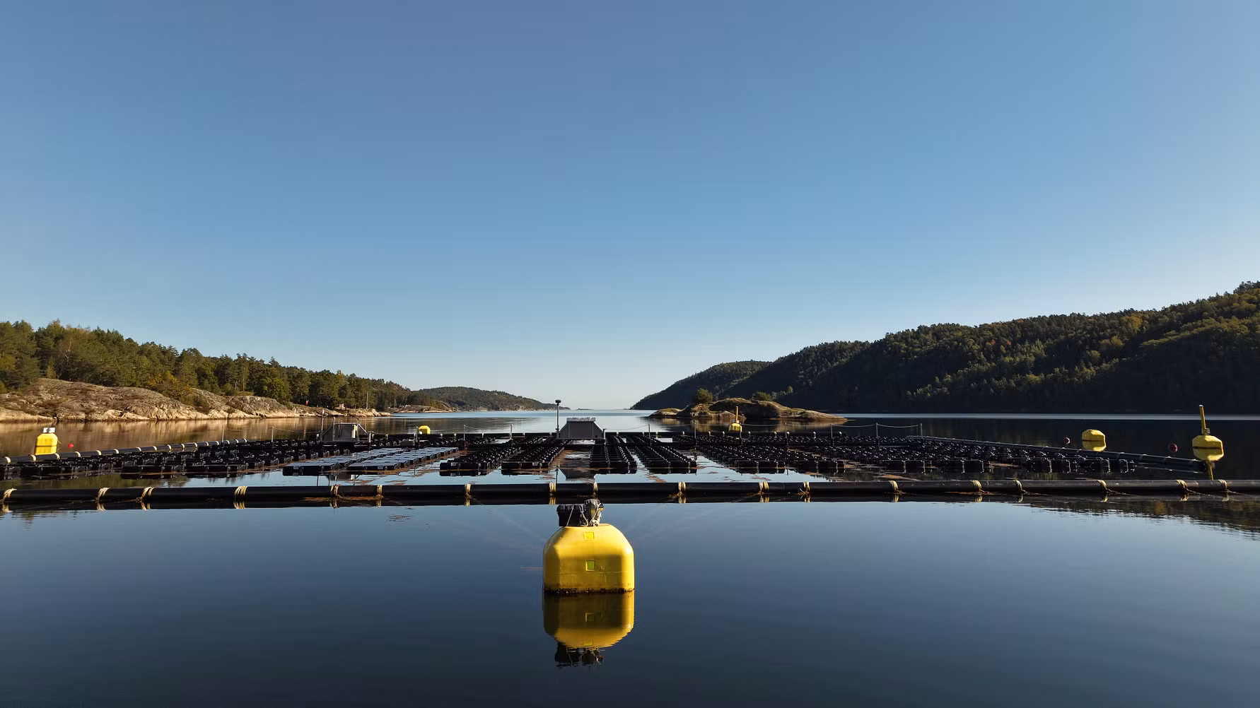 Tension Buoy installed in Risør, Norway