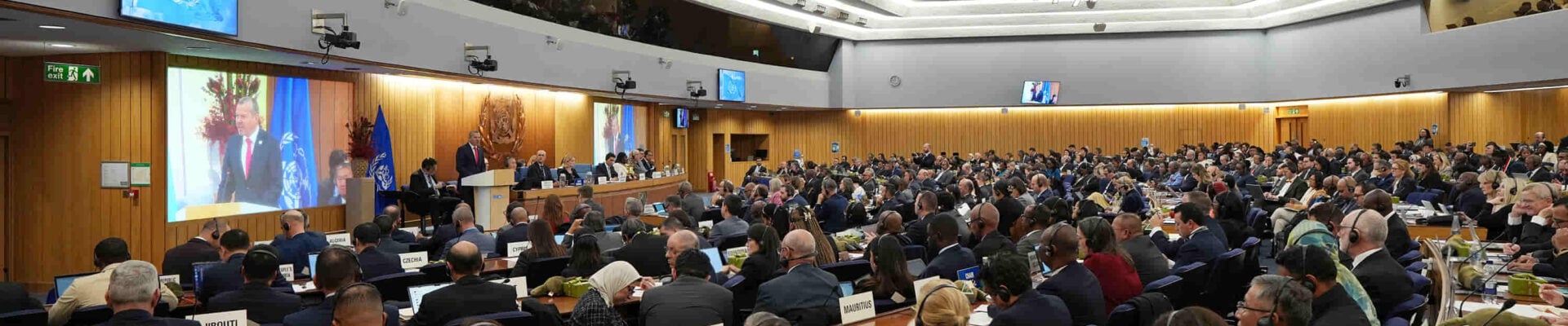 IMO Assembly