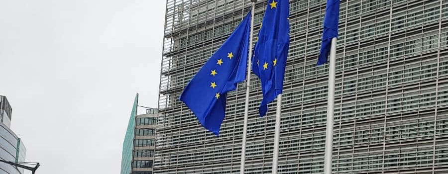 EU flag; Credit: Adrijana Buljan, Editor-in-Chief at offshoreWIND.biz, Offshore-Energy.biz's sibling site