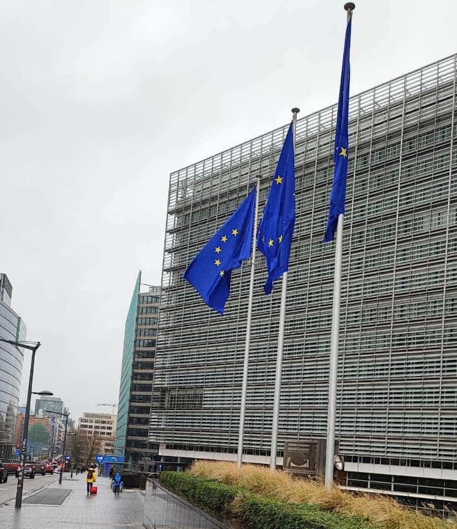 EU flag; Credit: Adrijana Buljan, Editor-in-Chief at offshoreWIND.biz, Offshore-Energy.biz's sibling site